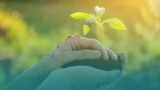 Educação Ambiental e Sustentabilidade
