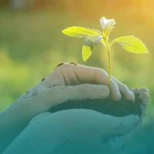 Educação Ambiental e Sustentabilidade