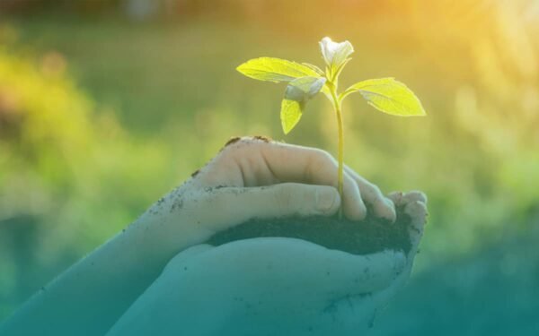 Educação Ambiental e Sustentabilidade