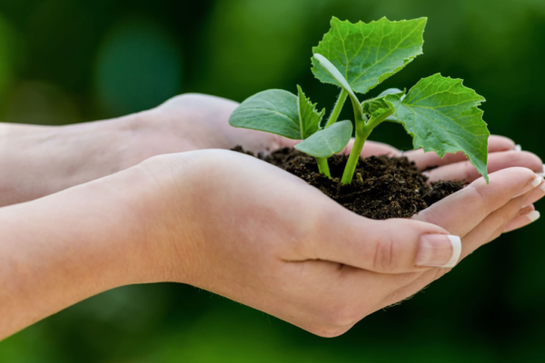 Educação Ambiental e Sustentabilidade
