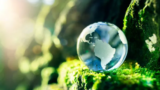 Geografia e Meio Ambiente