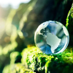 Geografia e Meio Ambiente