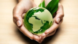 Gestão e Educação Ambiental