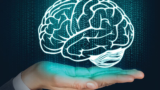 Neurociência na Aprendizagem