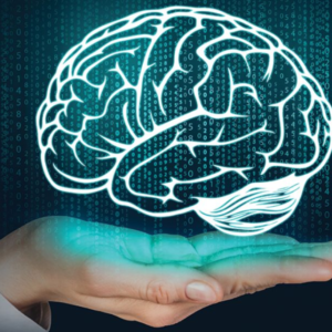 Neurociência na Aprendizagem