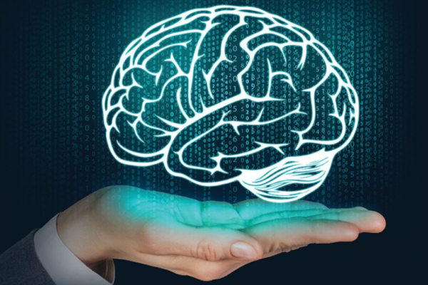 Neurociência na Aprendizagem