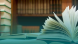 Letras com Ênfase em Linguística