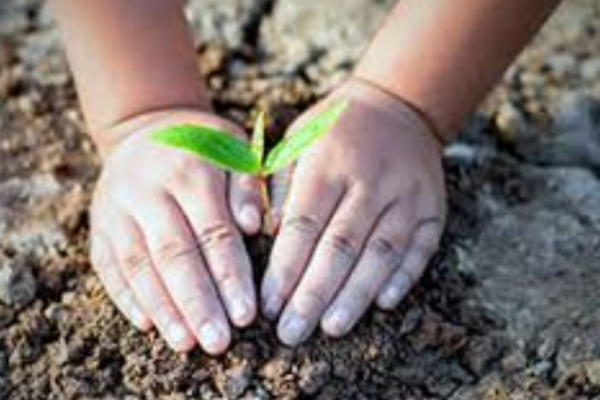 Ecologia Educacional