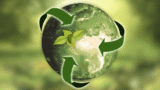 Meio Ambiente, Desenvolvimento E Sustentabilidade
