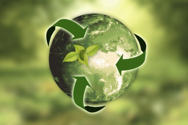 Meio Ambiente, Desenvolvimento E Sustentabilidade